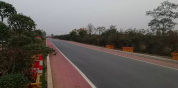 以道路建設為引擎，驅動基礎設施、營商環境與環保協同提升的工程管理實踐