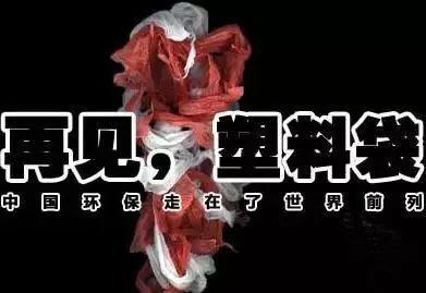 告別“白色污染” 湖北鄉鎮的“禁塑”新篇章